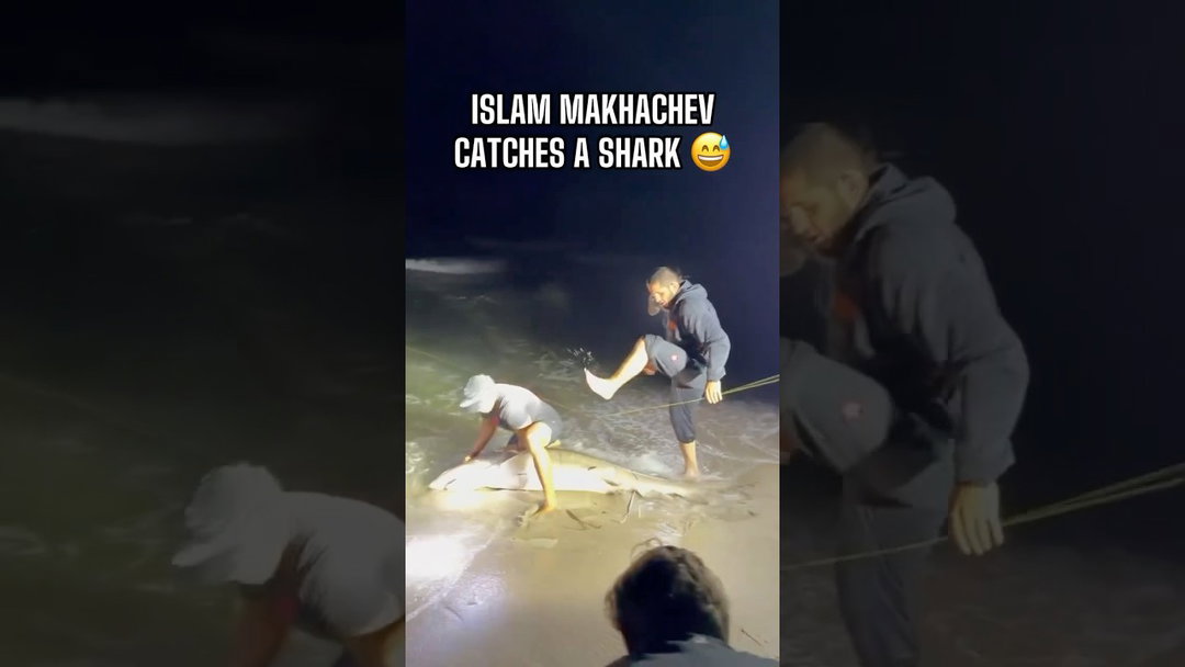 Even the sharks aren’t safe from Islam Makhachev 🦈😅 🎥: @UFCEurasia