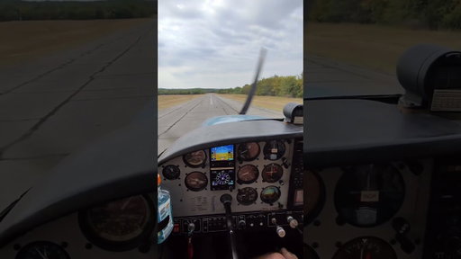 Max braking. #airplane #aviation #landing