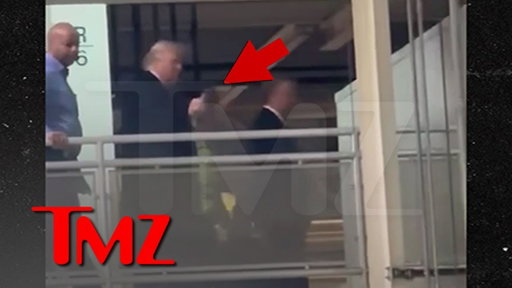 President Trump Filmed Flipping Off Ford Worker Who Yells 'Pedophile Protector' at Him | TMZ