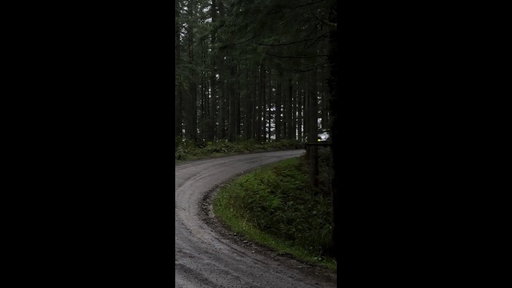 Offroading 🤝 Drifting