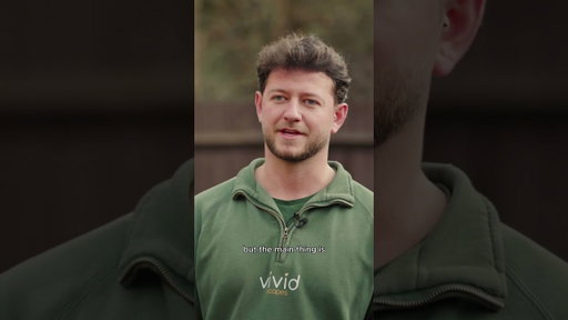 "Social Media Has Done Masses for Our Business" | Landscaping Client Testimonial | Compelite Pro