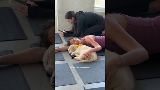 This could be you this weekend 👀🤍 #puppyyoga #puppy #goldenretriever