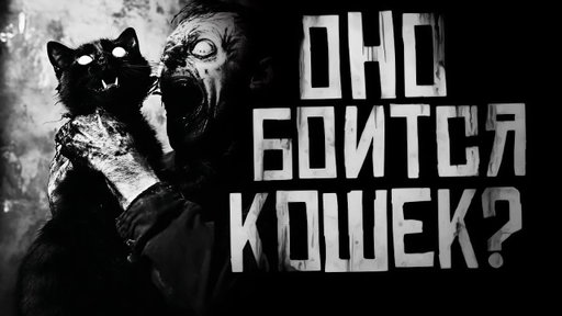 ОНО БОИТСЯ КОШЕК?? Страшные истории на ночь. Страшилки на ночь.