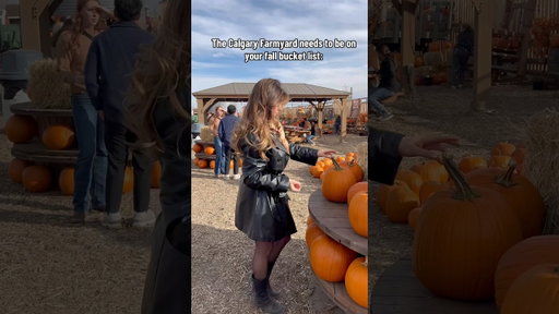 The Calgary farmyard needs to be something you go to next fall #yyc #trending