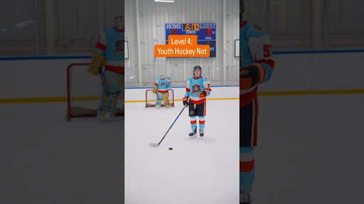 Every Goal = Smaller Net