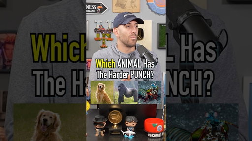 Which Animal Has A Harder Punch?! You Won’t Believe It! #shorts #animal #punch #human #dogs