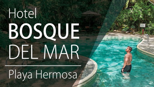 Bosque del Mar: A Luxury Beachfront Escape in Playa Hermosa, Costa Rica - By Frog TV