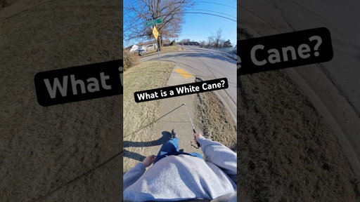 What is a White Cane?
