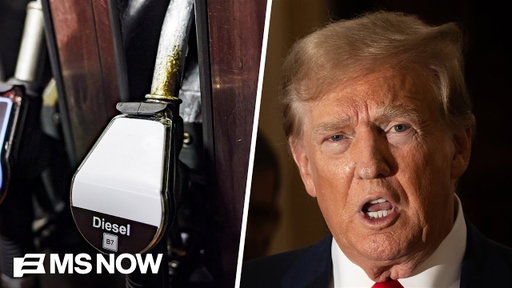 GOP Senator: Trump’s Russia diesel deal ‘legitimate case’ of him BREAKING the law