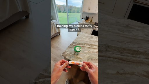 Flying Pickles? ​⁠@smarties