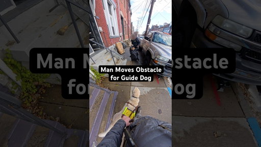Man Moves Obstacle for Guide Dog #guidedog #dog #dogs