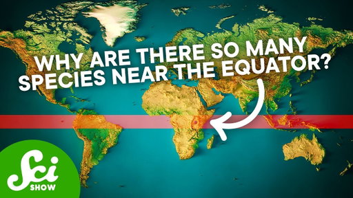 The Biggest Mysteries Science Still Hasn't Solved | Compilation