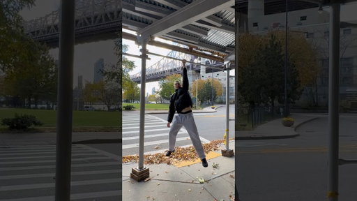 New York Vlogs: Day Five 🚠