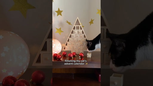 My Cat’s Advent Calendar