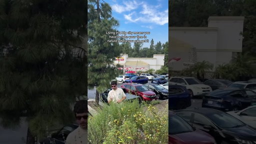 Video Theme: Big City "Nature" Comedy Skit 😂🌿