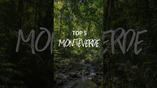 Top Things to Do in Monteverde, Costa Rica