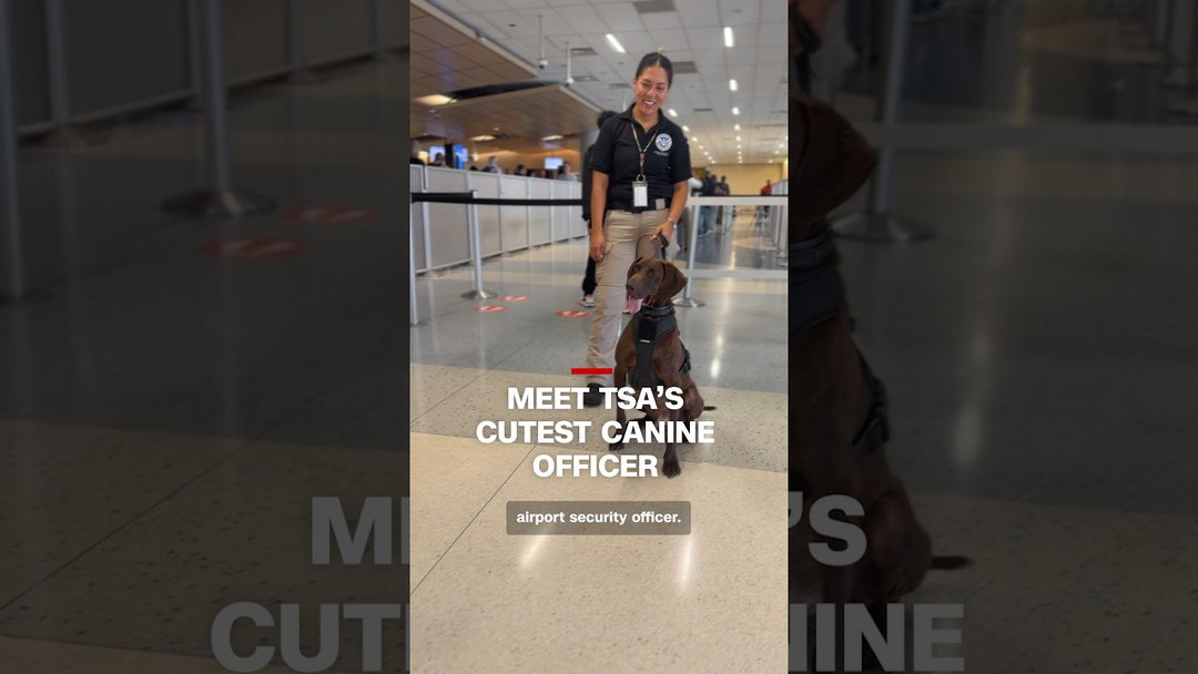 Meet TSA's cutest canine officer