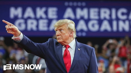 ‘The schtick worked until it didn’t’: Trump continues campaign blitz as warning signs mount for GOP