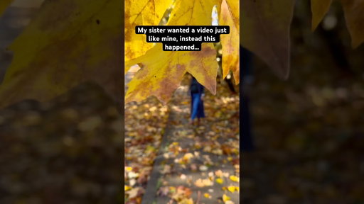My sister is SAFE! Fall foliage in the PNW, branches falling, windy days #pnw #seattle #viralvideos