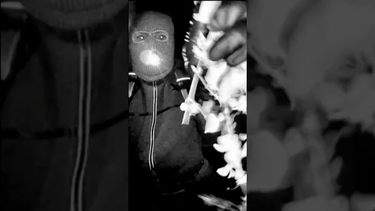 FBI Releases Photo of Suspect in Nancy Guthrie Disappearance