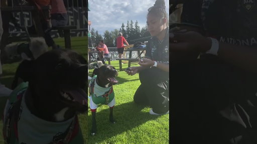JC interviewing pups at last week’s Bark at the Park match 🐶