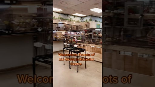 This is the craziest pet store in New York😳🐊 #longisland #exoticpets