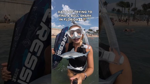 When shark came up right underneath me I did get a little jump scare😅
