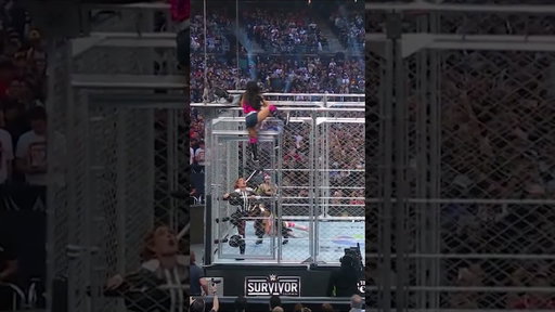 AJ Lee enters WarGames‼️