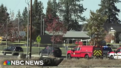 Multiple victims, including children, in Oregon elementary school shooting