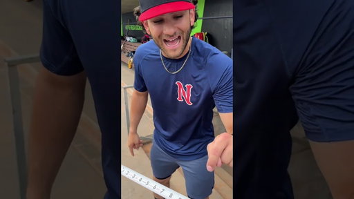 Can baseball players guess the width of home plate? #baseball #brewers #nashville #mlb #player