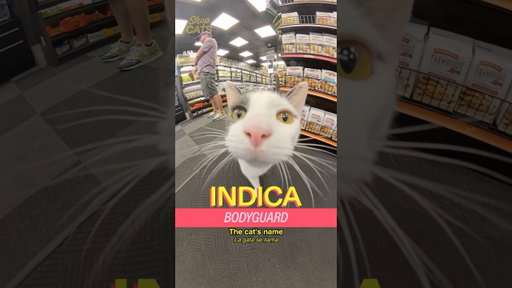 Meet Indica in Astoria. She’s a NEW YORK BADDDIEEEE