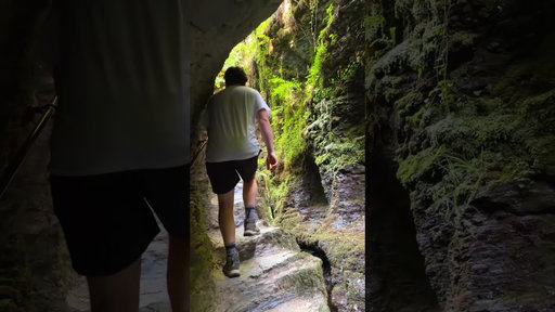 How is THIS hiding in the middle of Devon?! 🌿🤯📍 Lydford Gorge