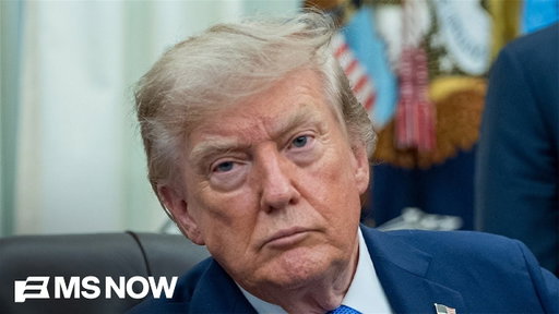 'WE'RE SCREWED': Ex-Trump admin lawyer gives BOMBSHELL WARNING about Trump and Todd Blanche's plans