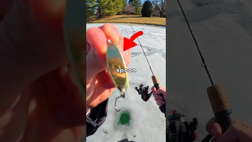 I Fished with a SPOON 🐟🎣