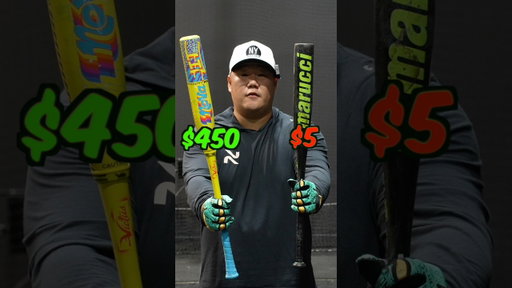 $5 Bat vs $450 Bat