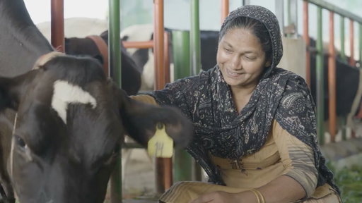 Nestlé Dairy Plan: Regenerative feed solutions for lower-carbon dairy farming