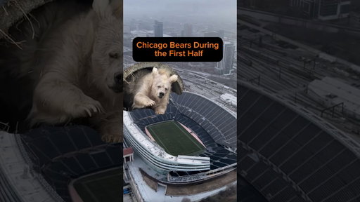 They’re called Cardiac Bears for a reason 🫀🐻 #ChicagoBears #nfl #BearsNation #bearsvsrams