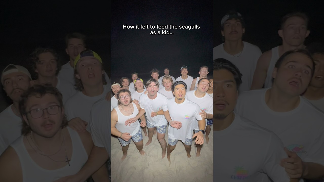 An army of SEAGULLS!😈@Chubbies #shorts #viral #theboys #seagulls