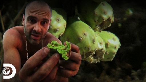 Ed Stafford en el desierto de Arizona busca agua y refugio en los cactus | Desolado con Ed Stafford