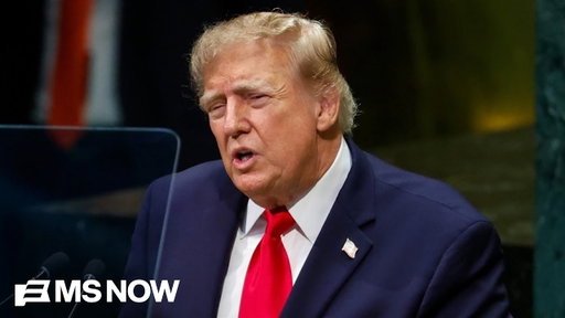 ‘The world’s respect for us is gone’: GOP strategist says Trump has ‘alienated’ U.S. from our allies