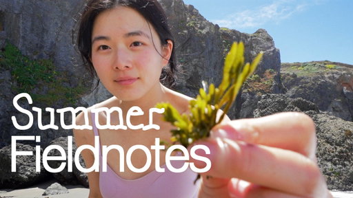 Eat this piece of kelp...🐛 and enjoy my first coastal summer
