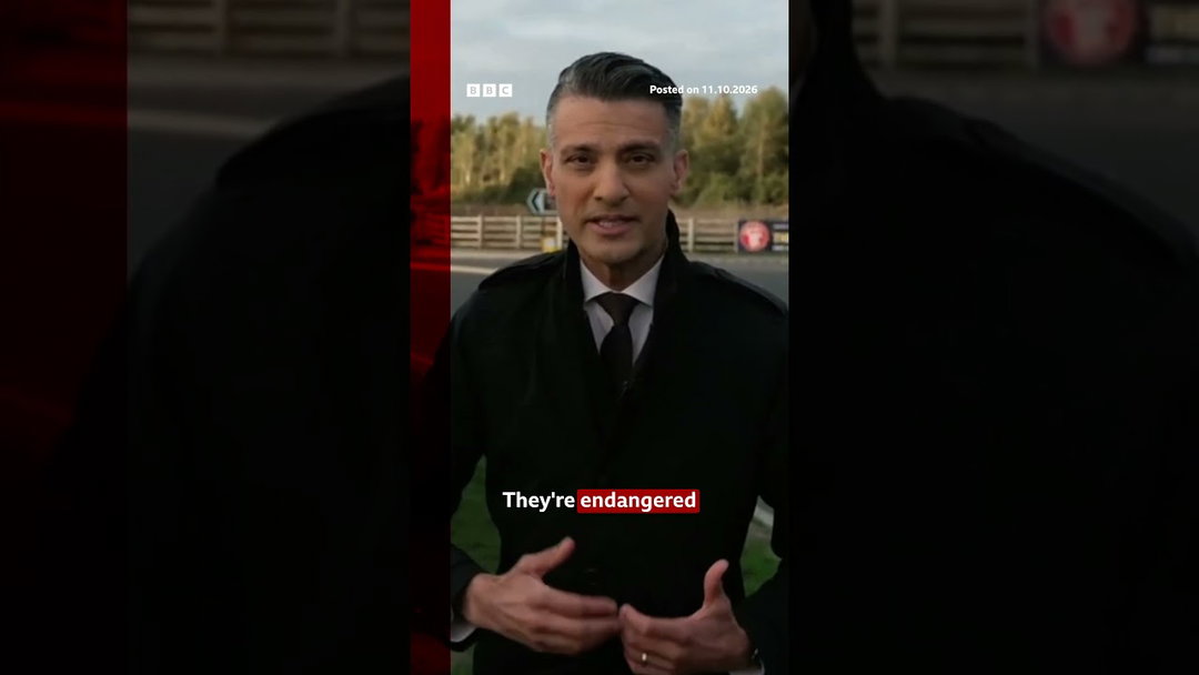 Wildlife park where man fatally attacked by tiger gives update. #YorkshireWildlifePark #BBCNews