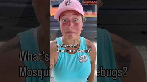 What’s worse!? Camping with mosquitoes or love bugs!?