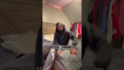 POV: Me trying to get my dog to chew me cuddle in bed with me #relatable #funny