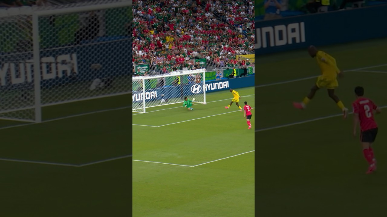 A crucial save for Korea Republic! 🇰🇷🧤#FIFAWorldCupOnYT