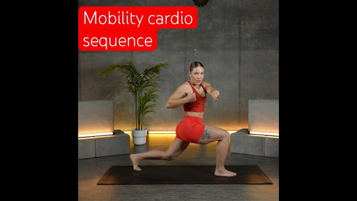 Mobility cardio sequence! Heart-healthy and joint friendly. 💪💜 #mobility #hipmobility
