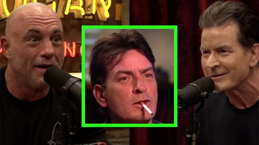 Charlie Sheen Reflects on His Drug Fueled "Tiger Blood" Era