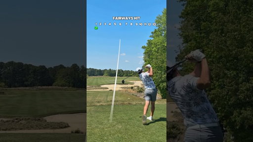 I could watch this all day