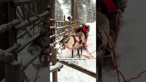 Winter has finally arrived at Santa Claus Village, Rovaniemi ❄️ Videos recorded today, 12th of Nov