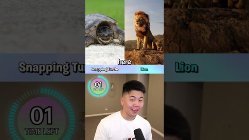Which BITE is SCARIER?